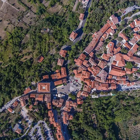 Gorgeous In Susnjevica